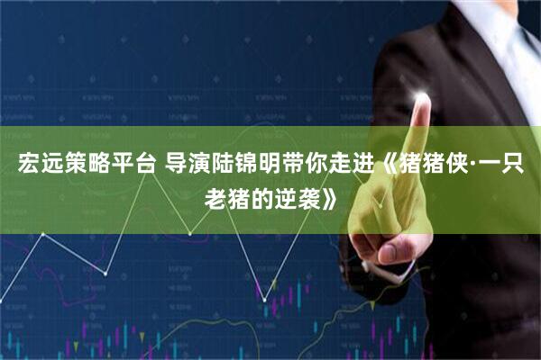 宏远策略平台 导演陆锦明带你走进《猪猪侠·一只老猪的逆袭》