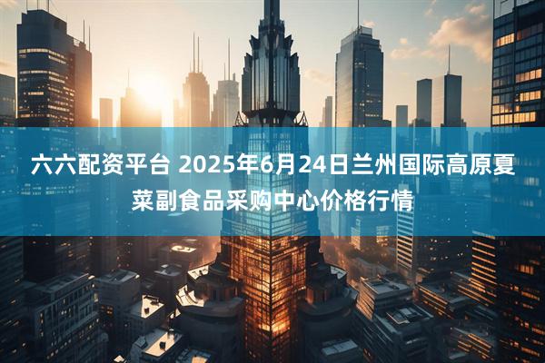 六六配资平台 2025年6月24日兰州国际高原夏菜副食品采购中心价格行情