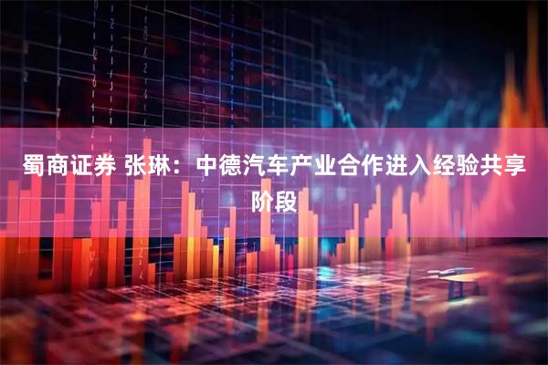 蜀商证券 张琳：中德汽车产业合作进入经验共享阶段