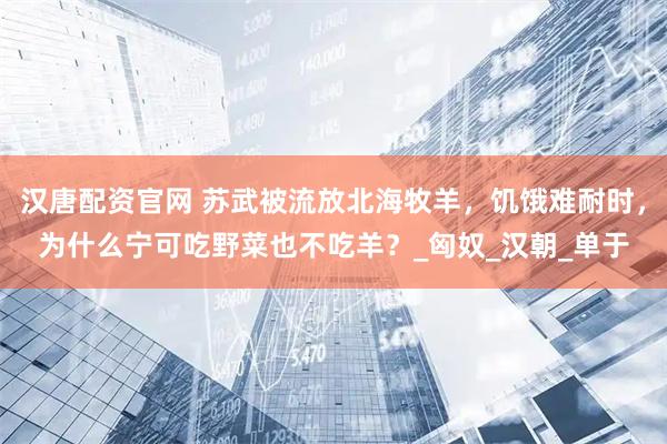 汉唐配资官网 苏武被流放北海牧羊，饥饿难耐时，为什么宁可吃野菜也不吃羊？_匈奴_汉朝_单于
