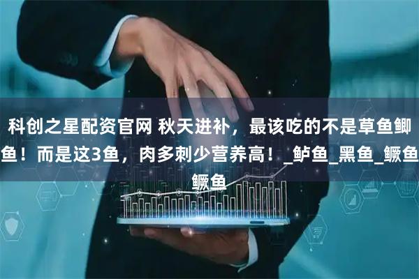 科创之星配资官网 秋天进补，最该吃的不是草鱼鲫鱼！而是这3鱼，肉多刺少营养高！_鲈鱼_黑鱼_鳜鱼