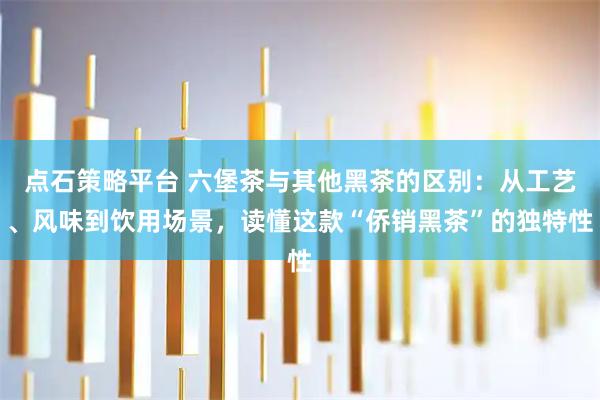 点石策略平台 六堡茶与其他黑茶的区别：从工艺、风味到饮用场景，读懂这款“侨销黑茶”的独特性